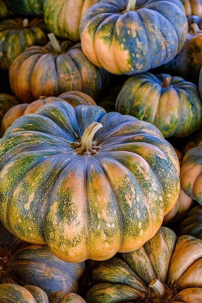 Citrouille