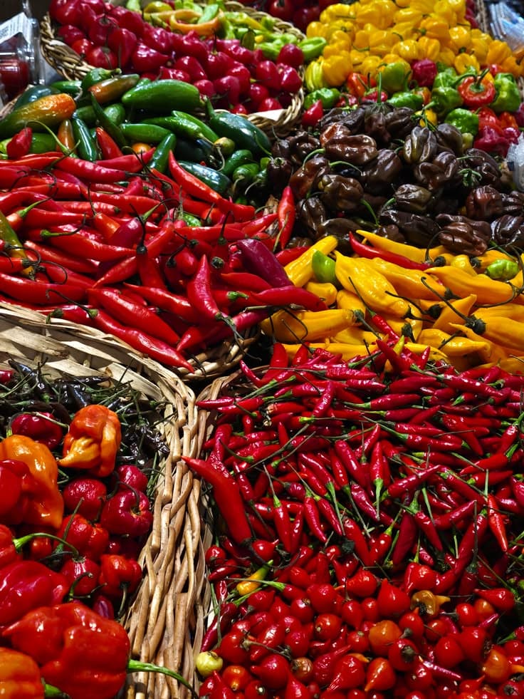 Piments frais